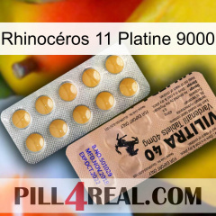 Rhinocéros 11 Platine 9000 41